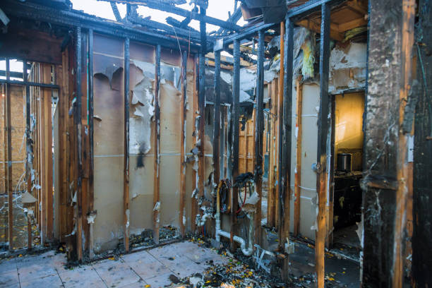 Professional Soot Removal technician working in Belleair Beach, FL